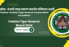 Tadoba Tiger Reserve Bharti 2024