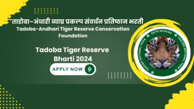 Tadoba Tiger Reserve Bharti 2024